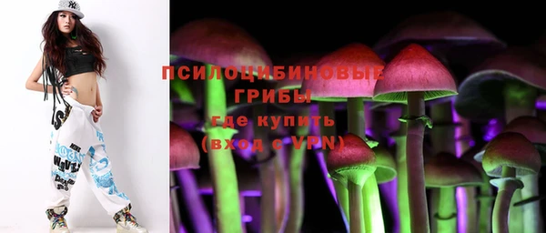 PSILOCYBIN Аркадак