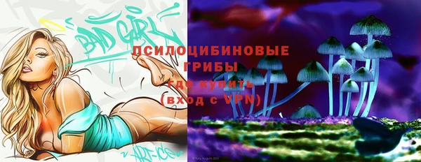 PSILOCYBIN Аркадак