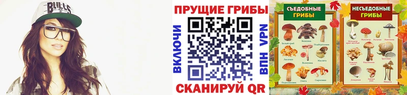 Купить  Бирюсинск  Псилоцибиновые грибы Psilocybe 